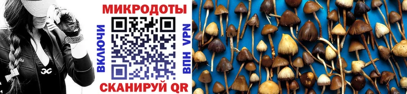 Псилоцибиновые грибы прущие грибы мориарти клад Динская